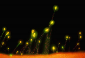 如何保持長期、持續(xù)、穩(wěn)定的努力