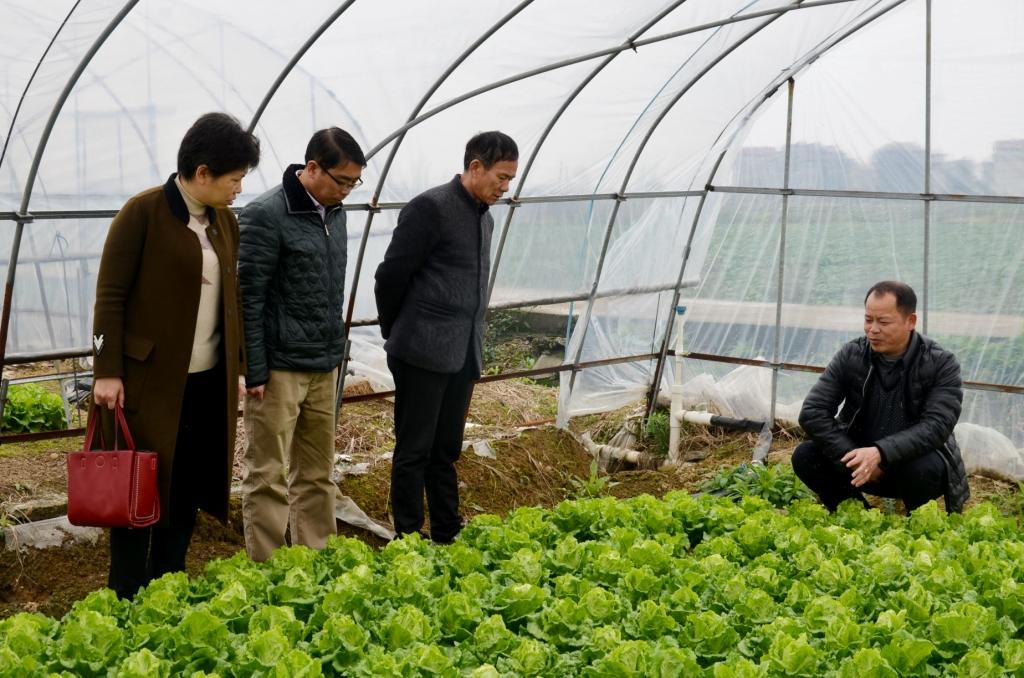 1506474372597072837.jpg 仁和集團駐張家山街道杏塘村委工作隊與村干部商討產業扶貧.jpg