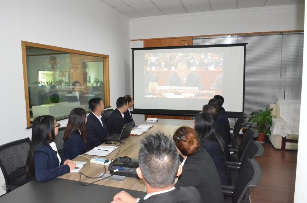 仁和集團(tuán)干部員工認(rèn)真收聽收看十九大開幕盛況 (2).jpg